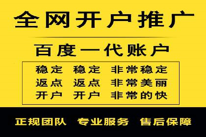 百度竞价入门必看：实操技巧与成功案例