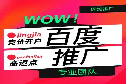 百度竞价排名案例：如何打造爆款广告并提升品牌形象